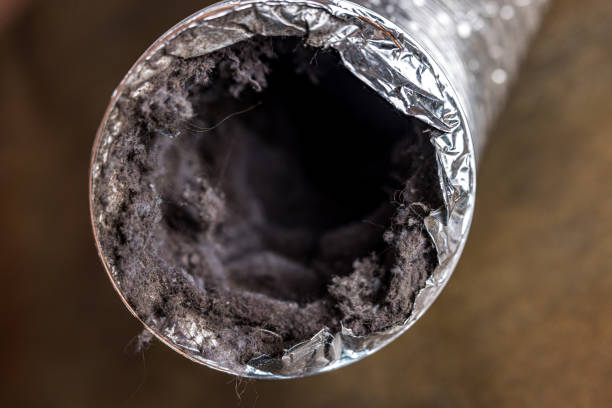 Best Air Duct Cleaning Near Me  in Whitney, SC